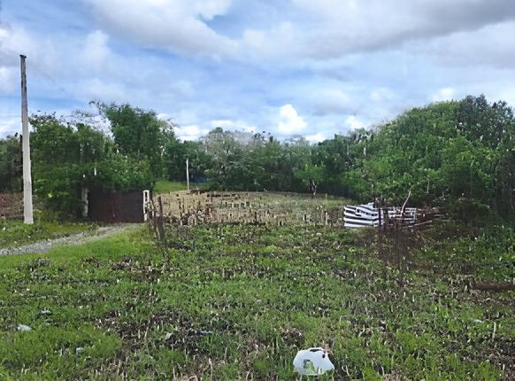 VENDO TERRENO EN LA CIRCUNVALACION LA VICTORIA
