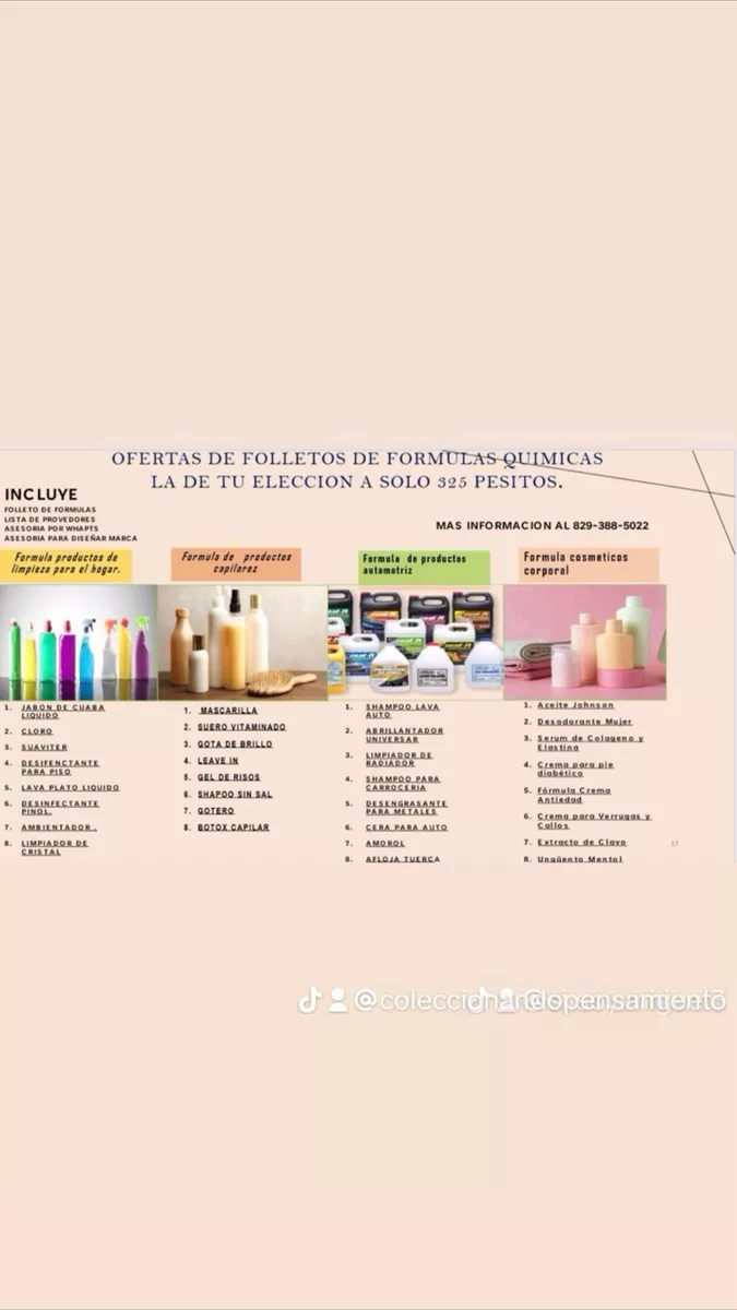 Folletos Para Aprender Hacer Productos De Limpieza Y Cosmestico