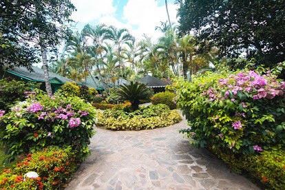 Villa Paradisiaca En Las Terrenas De Alquiler!!!