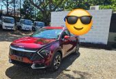 Carros, Jeepetas, Camionetas, Nuevecitas Usadas Y De Paquete!