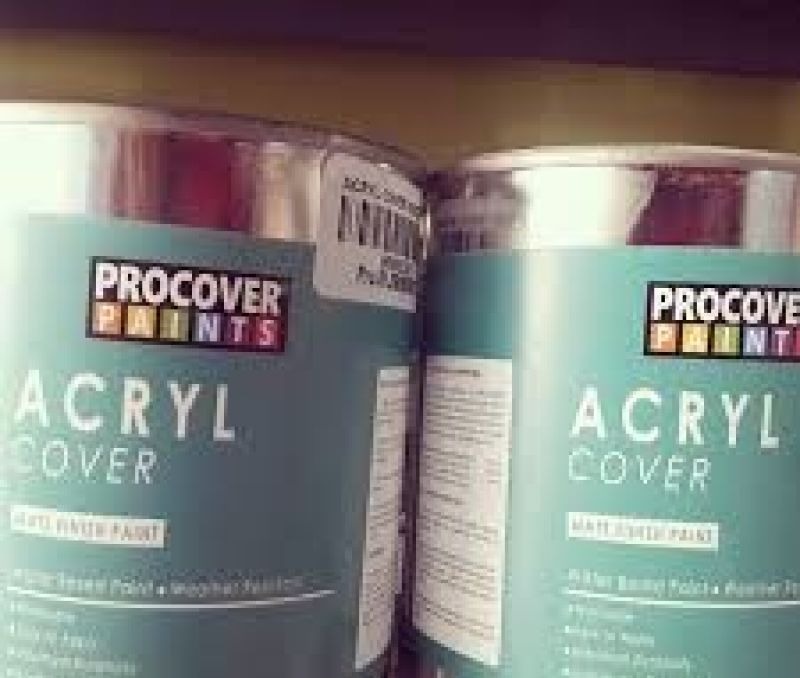 Pintar Y Cambiar Fachada Venta De Pinturas Santo Domingo