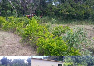 terreno.autopista.6.noviembre.heisel.2_thb-3