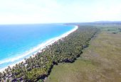 Me Encanta El Caribe!!!
