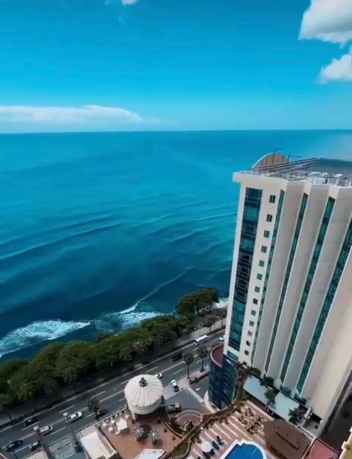 Viva Como Un Rey, Deleitandose Con Su Vista Al Mar, Desde El Piso 26!!!